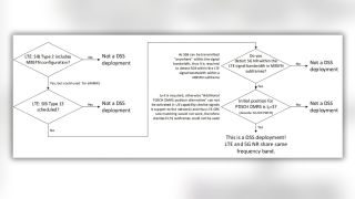 Figure 5: Flow chart for detecting DSS deployment using scanner only