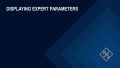 How to enable expert Settings on the FSWX